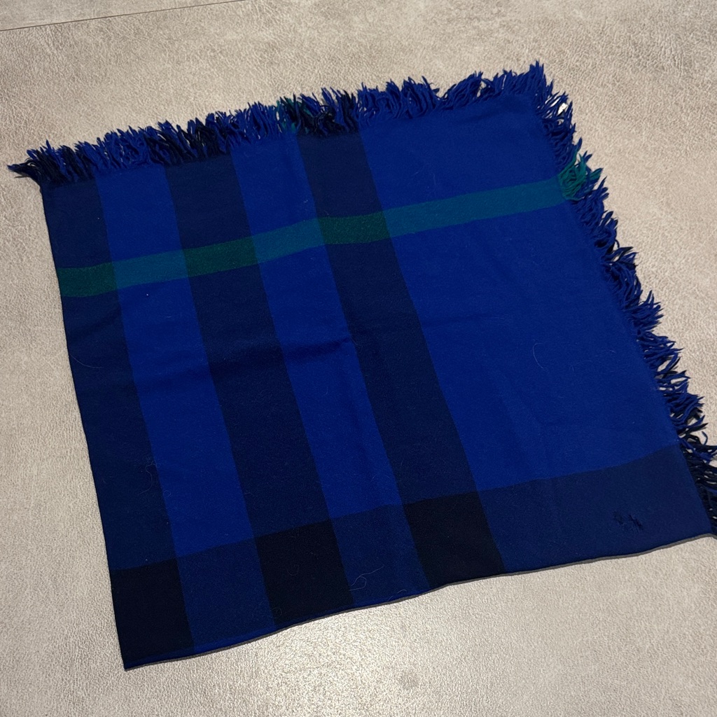 Burberry Blue And Green Plaid Fringe Scarf
